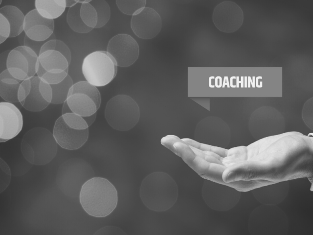 Ceo Coaching